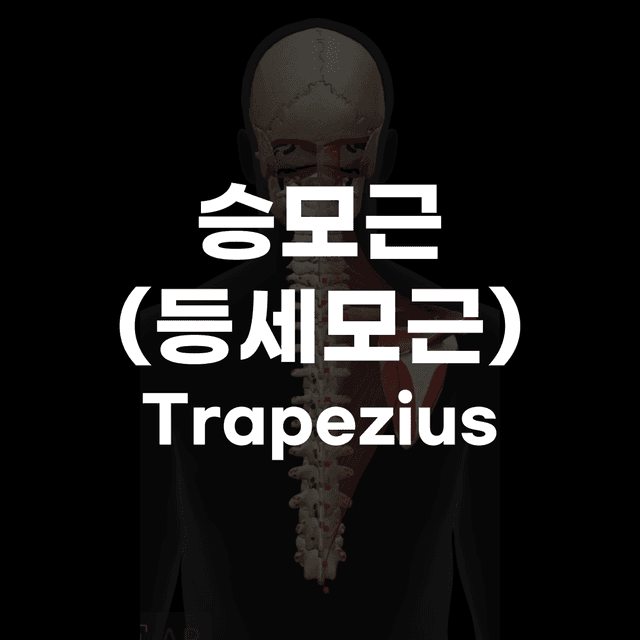 미리보기 2