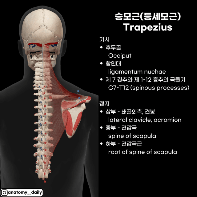 미리보기 3