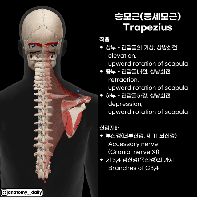 미리보기 4