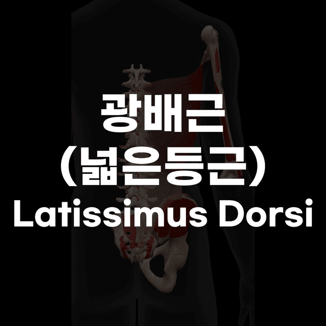 미리보기 5