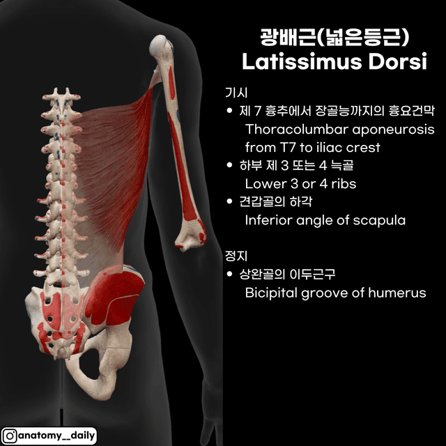 미리보기 6