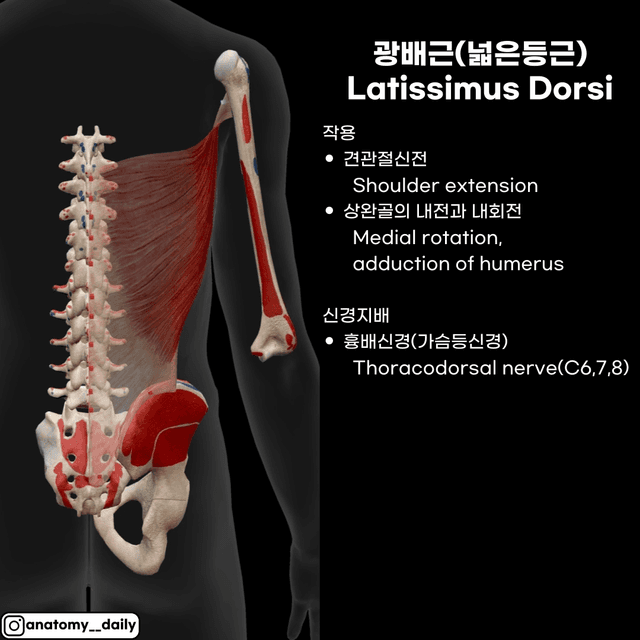 미리보기 7